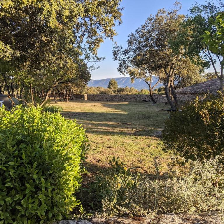Mas traditionnel à Gordes en pleine nature - Five-Bedroom House - 21