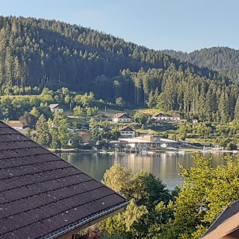 Appt F2 à 200m du lac situé plein sud -vue lac - Appartement 1 Chambre - 10