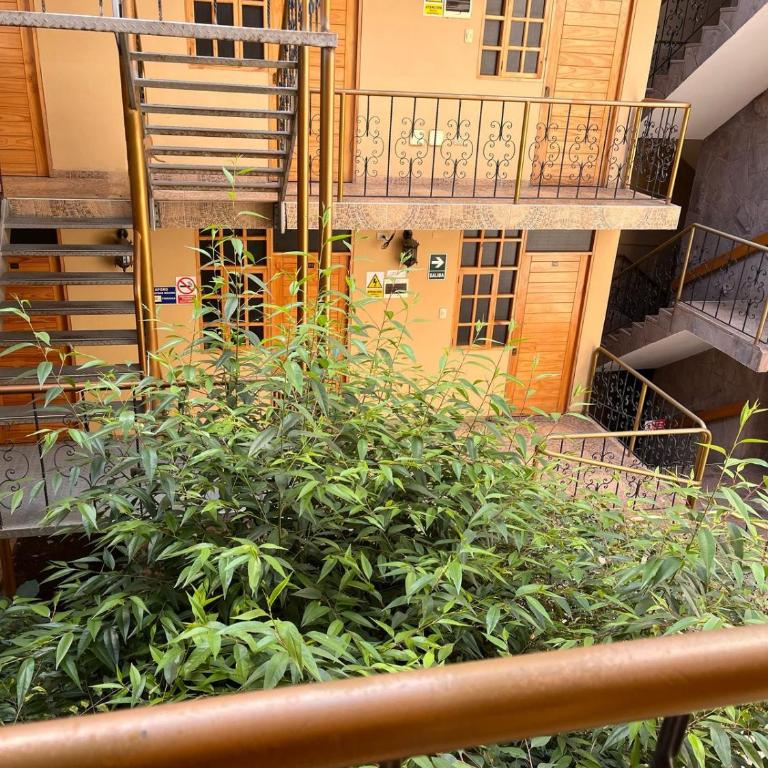Hostal Cactus - Budget Single Room - 1