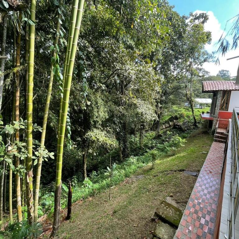 Luxury house with Jacuzzi in the Coffee Region - Casa de 3 dormitorios - 39