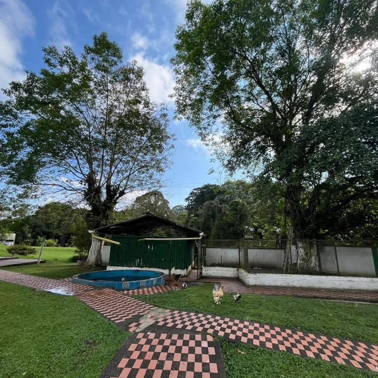 Luxury house with Jacuzzi in the Coffee Region - Casa de 3 dormitorios - 62