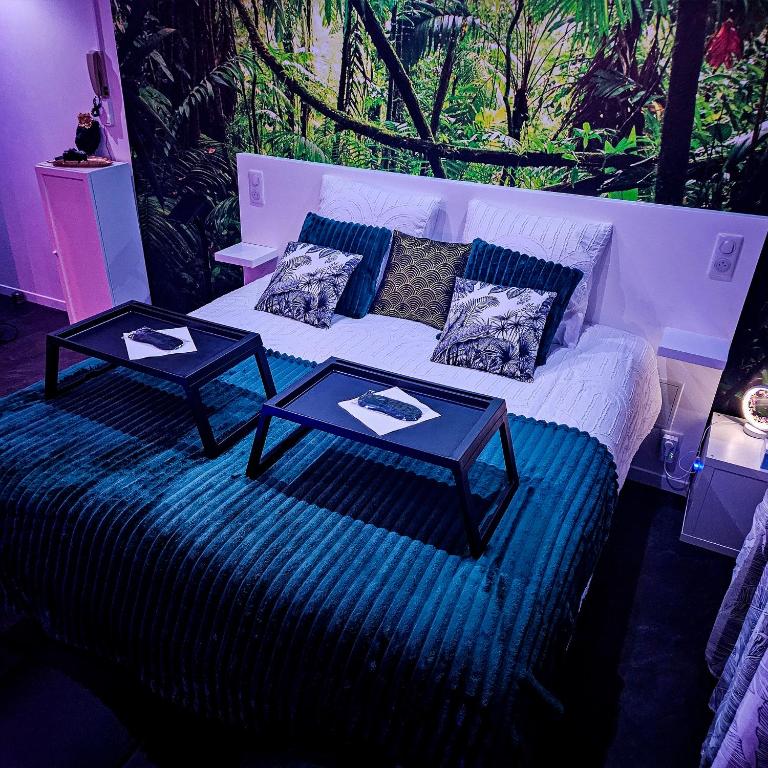 Loveroom & Jacuzzi TIJUGO - Clermont Ferrand - Appartement 1 Chambre - 6