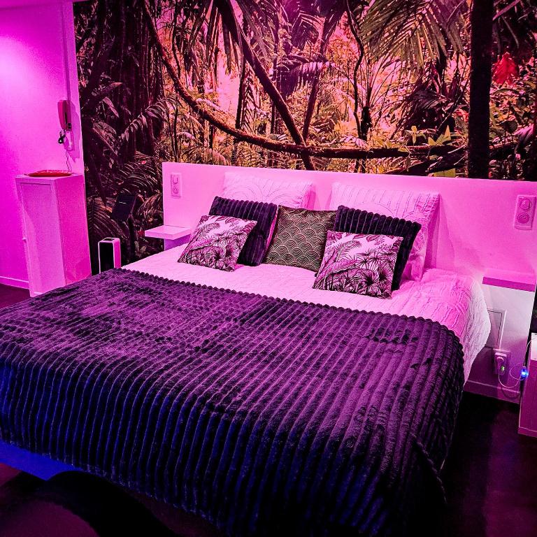 Loveroom & Jacuzzi TIJUGO - Clermont Ferrand - Appartement 1 Chambre - 15
