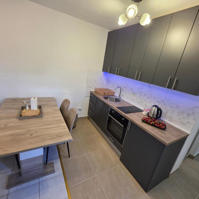 Apartmani Komatina Đenovići 2 - One-Bedroom Apartment - 7