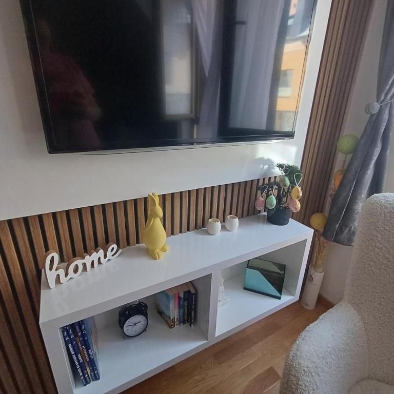 Apartman Nina Divcinova - Apartman sa 1 Spavaćom Sobom - 19