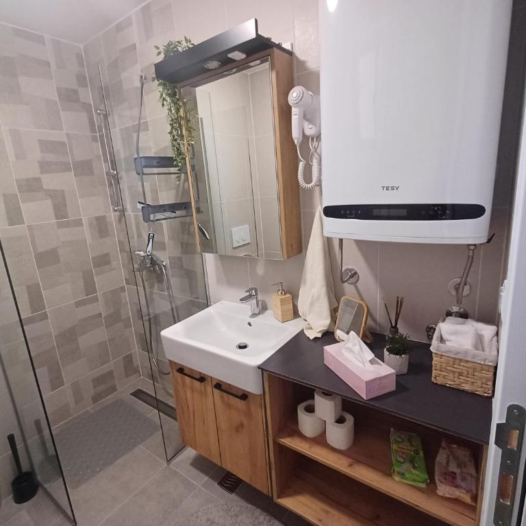 Apartman Nina Divcinova - Apartman sa 1 Spavaćom Sobom - 18