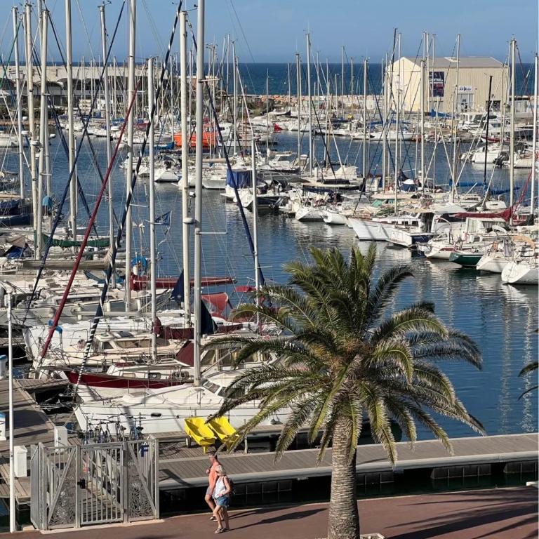 Joli appartement vue sur le Port de Canet - Apartment mit 1 Schlafzimmer - 9