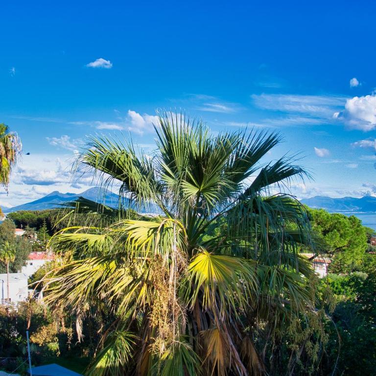 Casa Giulia Azzurra Sirena - Appartamento con 1 Camera da Letto - 33