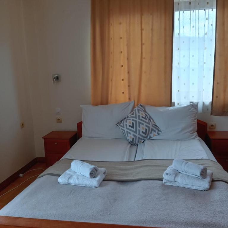 Apartmani Beli Bor - Apartman sa 2 Spavaće Sobe i Terasom - 6