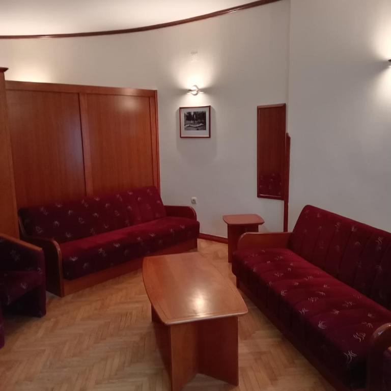 Apartmani Beli Bor - Deluks Apartman sa 2 Spavaće Sobe - 3