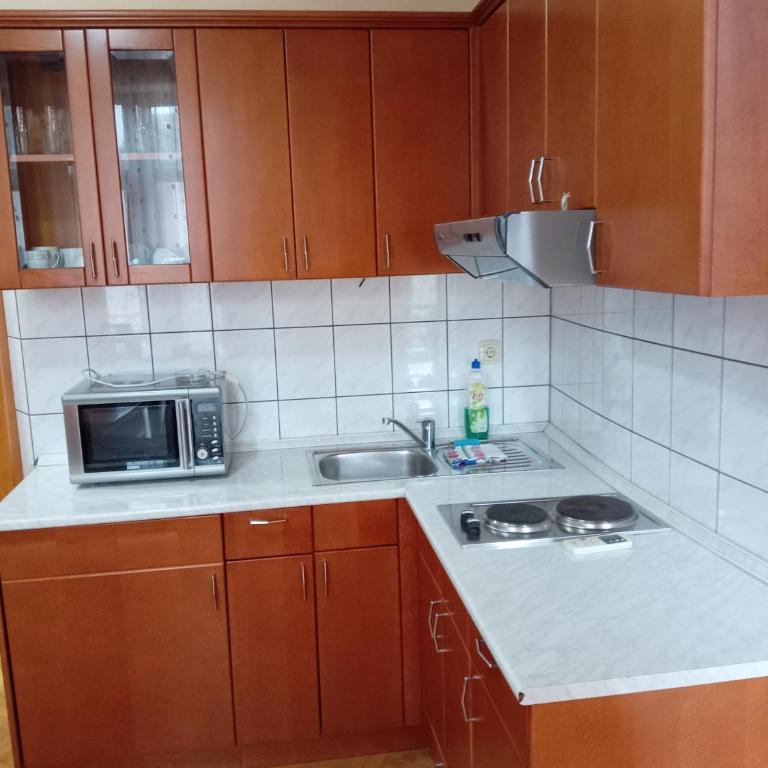 Apartmani Beli Bor - Deluks Apartman sa 2 Spavaće Sobe - 1