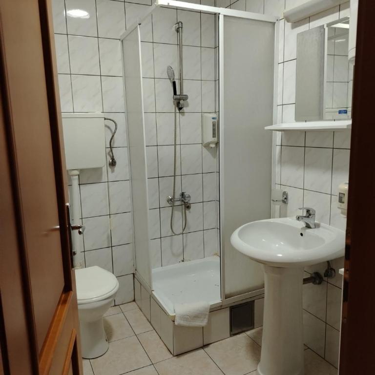 Apartmani Beli Bor - Porodični Studio - 3