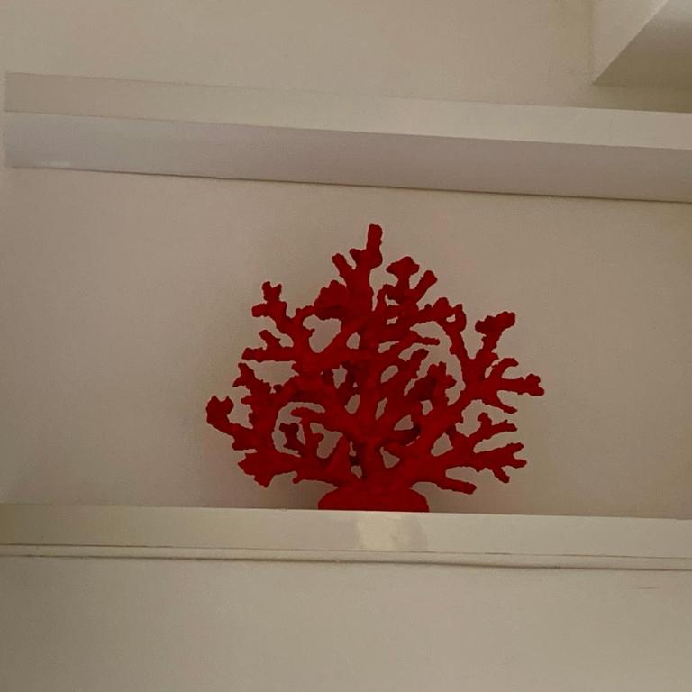 Residence Villa Alba - Appartamento Monolocale - 17