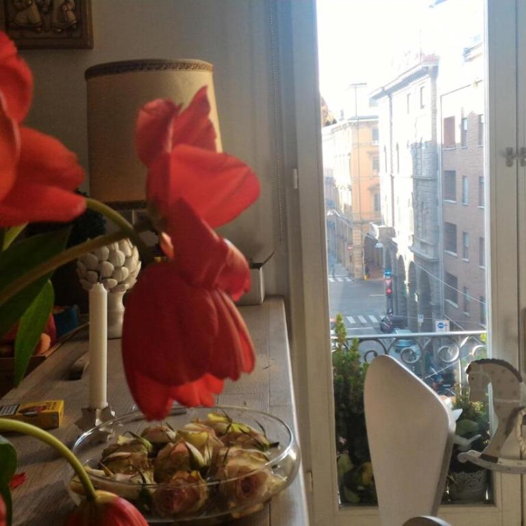 La Finestra - Appartamento Deluxe - 81