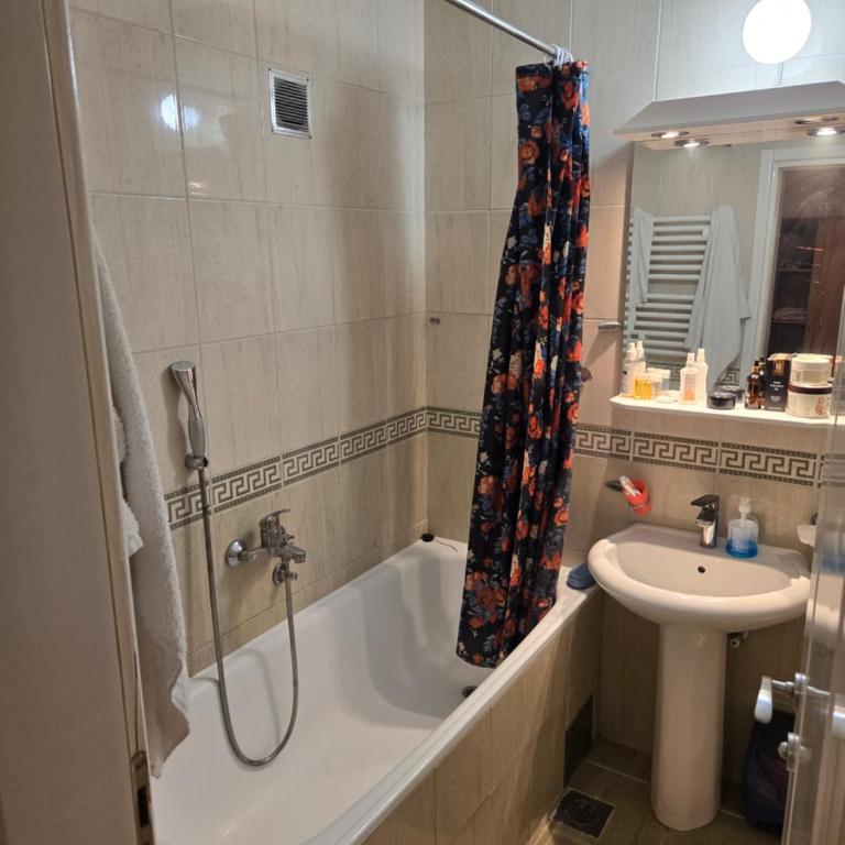 Apartman u Nisu - One-Bedroom Apartment - 8