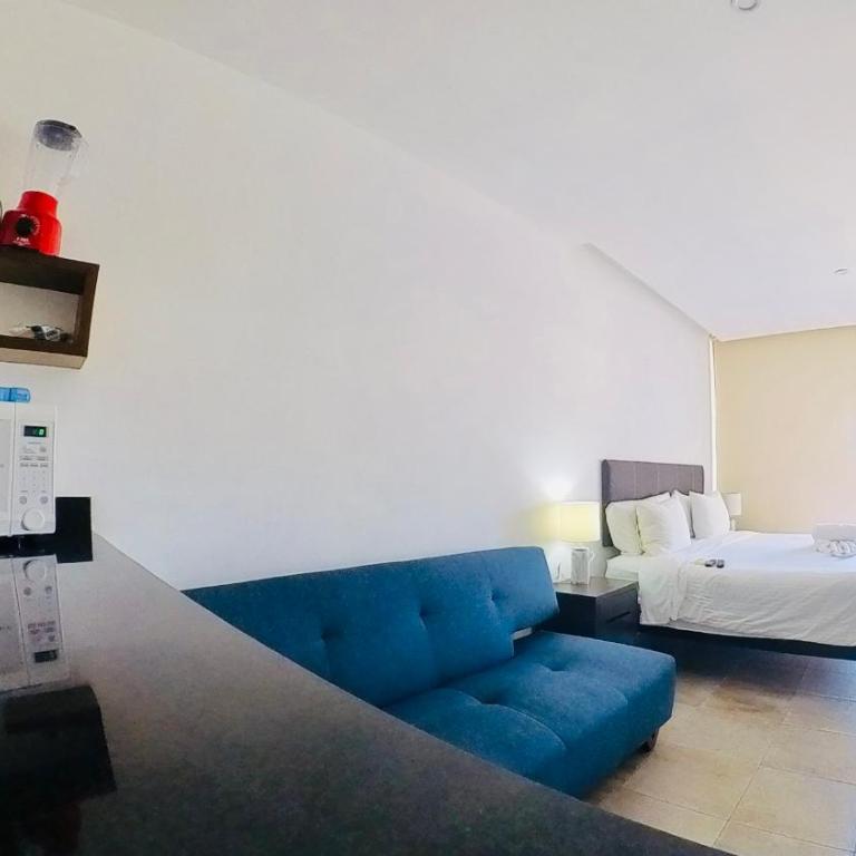 Studios with roofpool in Vanessa 24 - Estudio Triple Estándar - 13