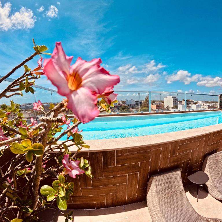 Studios with roofpool in Vanessa 24 - Estudio con terraza - 1