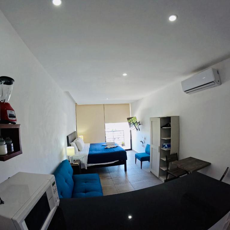 Studios with roofpool in Vanessa 24 - Estudio Triple Estándar - 22