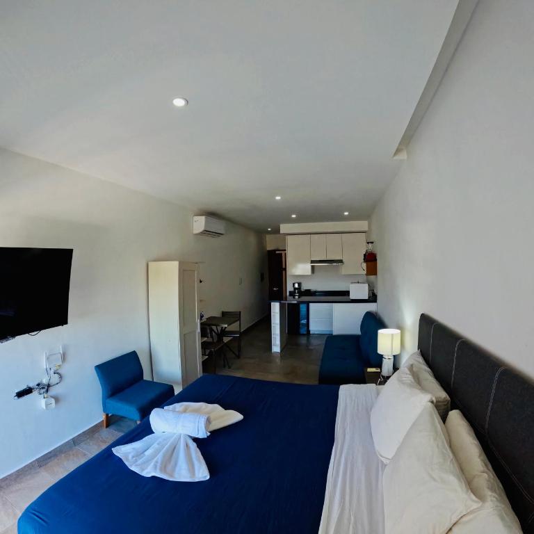 Studios with roofpool in Vanessa 24 - Estudio Triple Estándar - 24