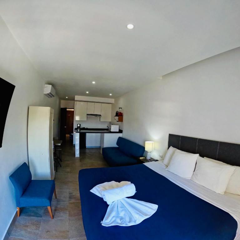 Studios with roofpool in Vanessa 24 - Estudio Triple Estándar - 25