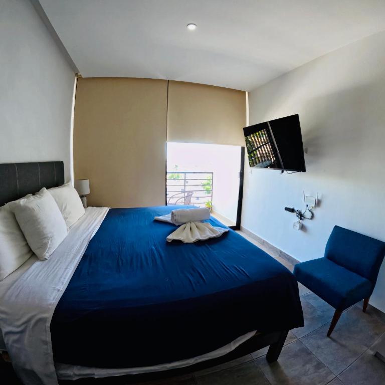 Studios with roofpool in Vanessa 24 - Estudio Triple Estándar - 26
