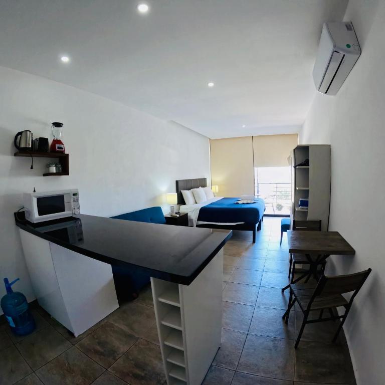 Studios with roofpool in Vanessa 24 - Estudio Triple Estándar - 14