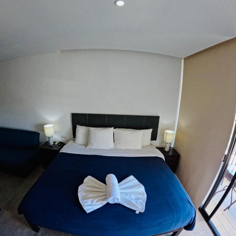 Studios with roofpool in Vanessa 24 - Estudio Triple Estándar - 28