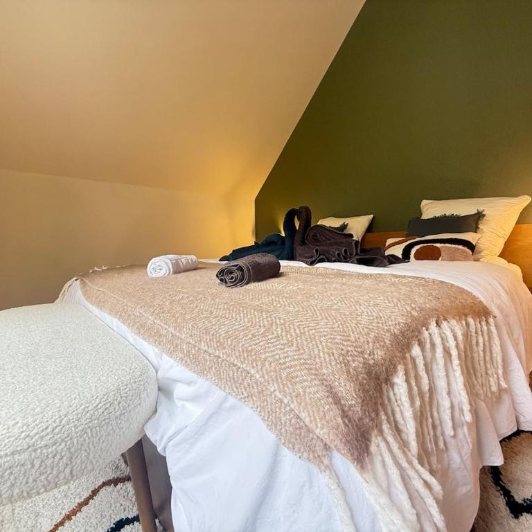 Chalet 6 Pers-Prox Cols-Vue Vallée-Jardin-BBQ - Chalet 3 Chambres - 17