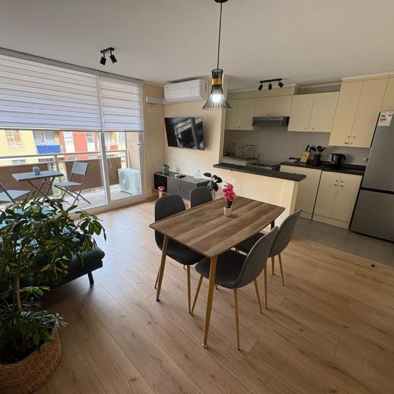 Departamento en Villarrica - Apartamento Estándar de 2 dormitorios - 2