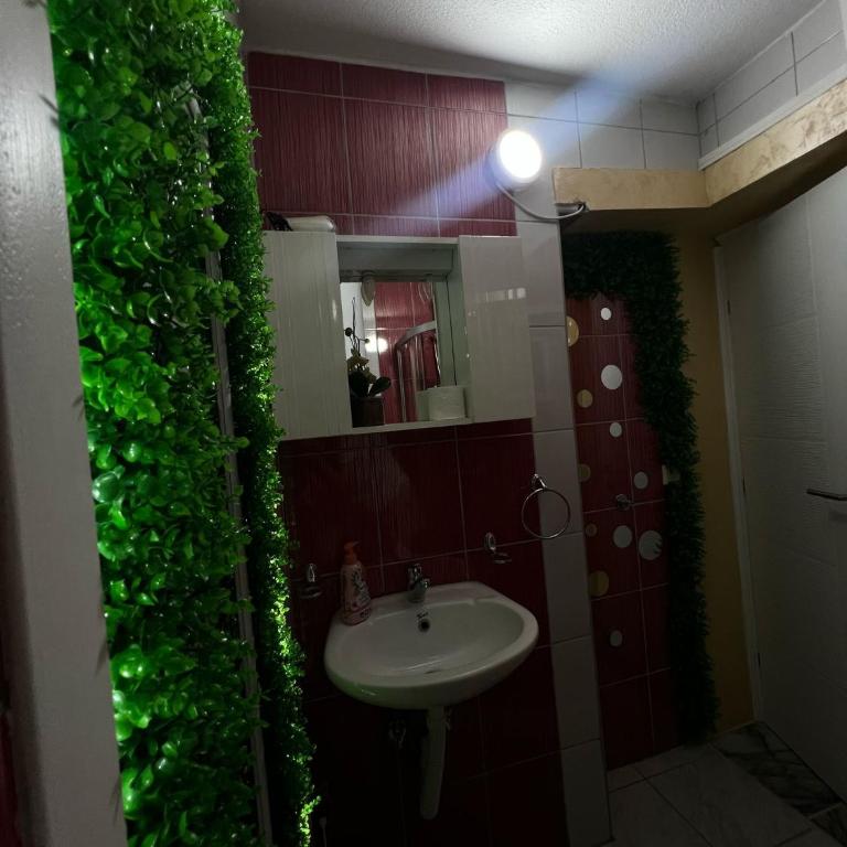 Rooms Vedran & AURUM Private Spa - Single Room with Private Bathroom - 7
