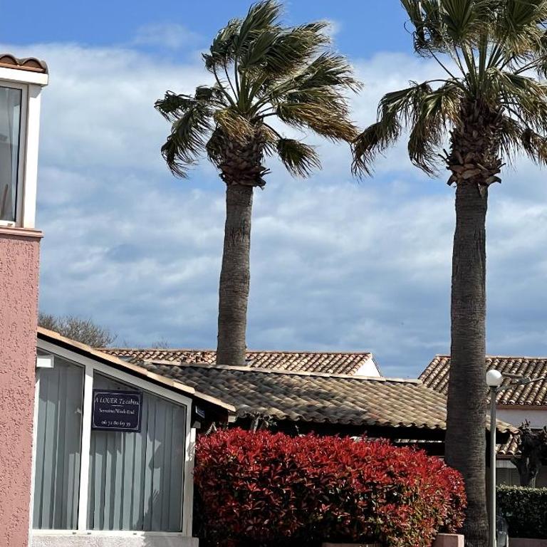 Casa sand - Two-Bedroom Apartment - 16