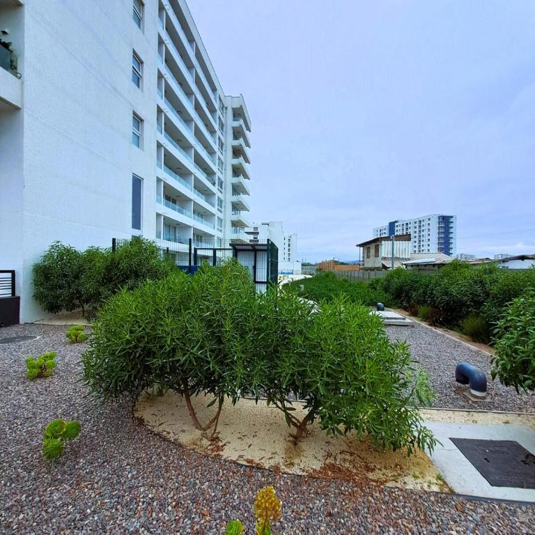 Arriendo diario, tu aventura en La Serena, te espera - Apartamento de 2 dormitorios - 22