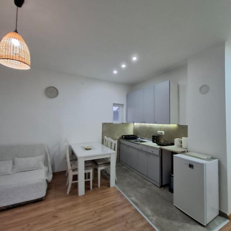 Apartman Stanic Banja Koviljaca - Apartman sa 1 Spavaćom Sobom - 7