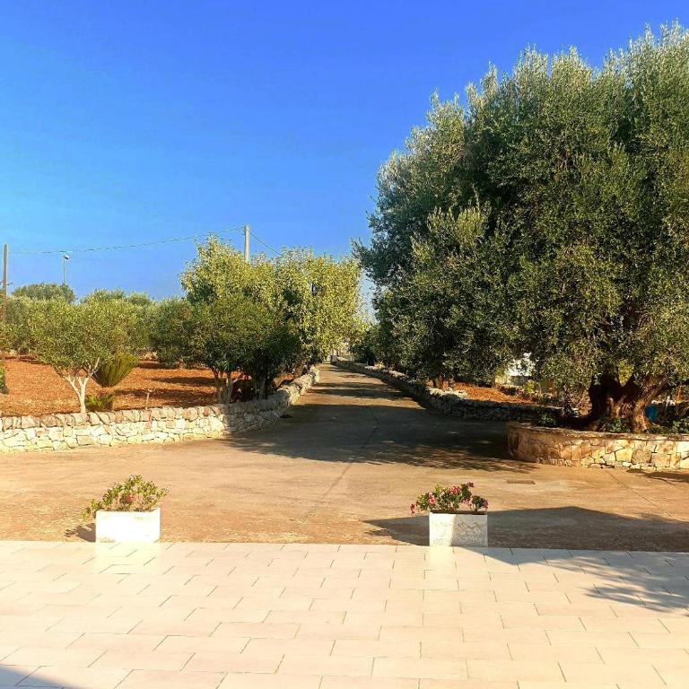 Trulli Mari in Valle d'Itria - Vacation Home - 44