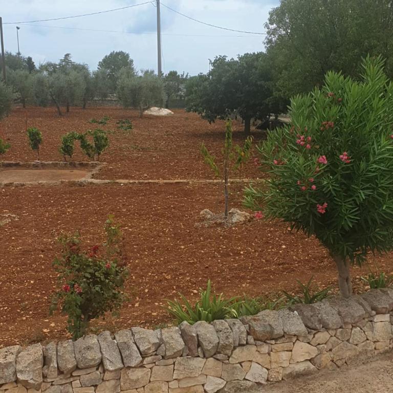 Trulli Mari in Valle d'Itria - Vacation Home - 46