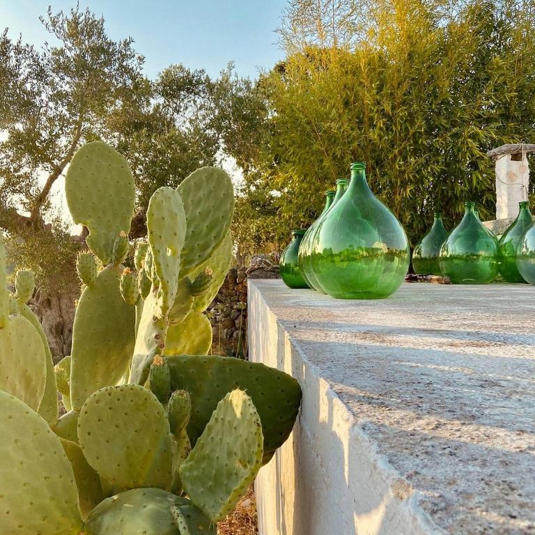 Trulli Mari in Valle d'Itria - Vacation Home - 39