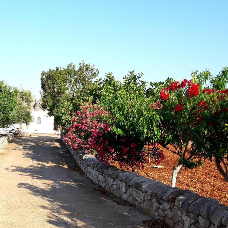 Trulli Mari in Valle d'Itria - Vacation Home - 37