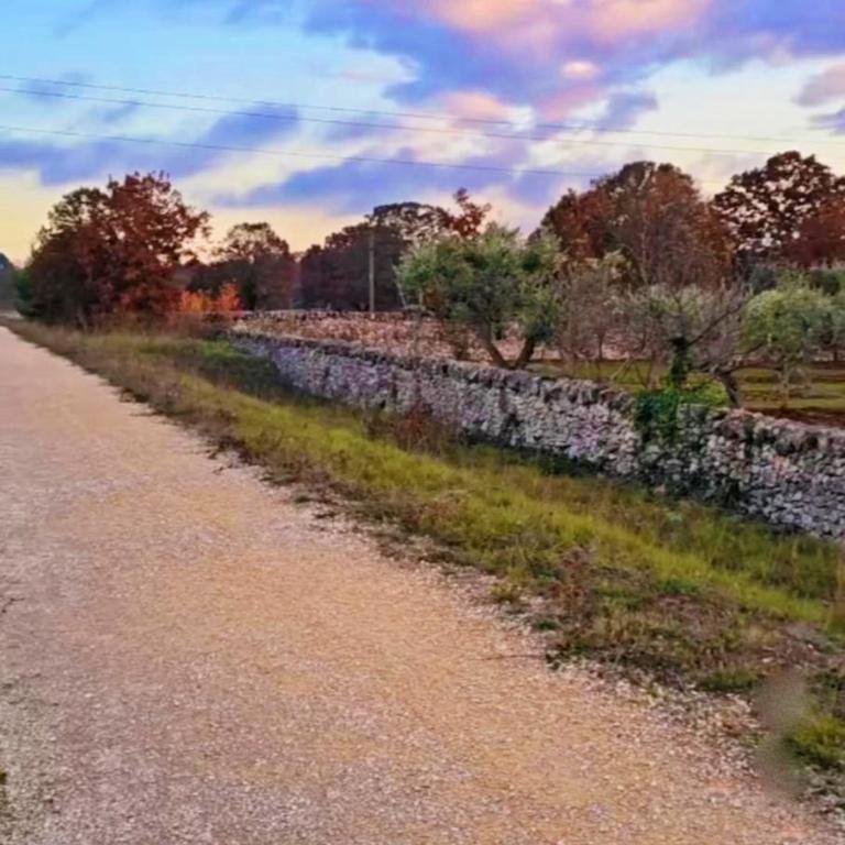 Trulli Mari in Valle d'Itria - Vacation Home - 48