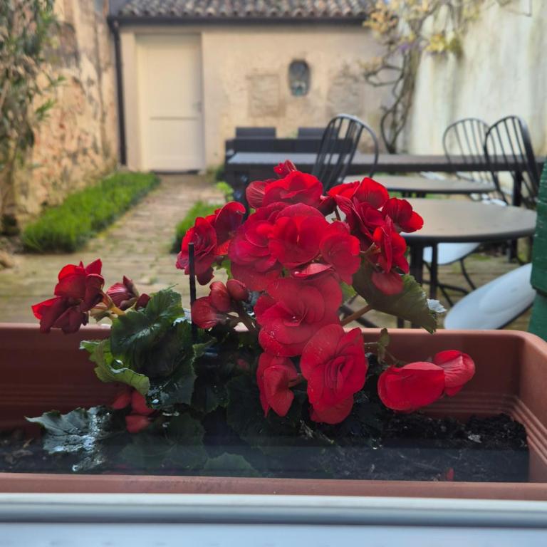 19 Borgo Cavour - Camera Matrimoniale con Vista Giardino - 3