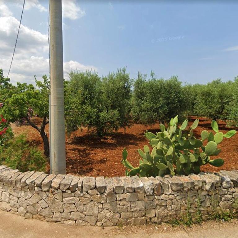 Trulli Mari in Valle d'Itria - Vacation Home - 43