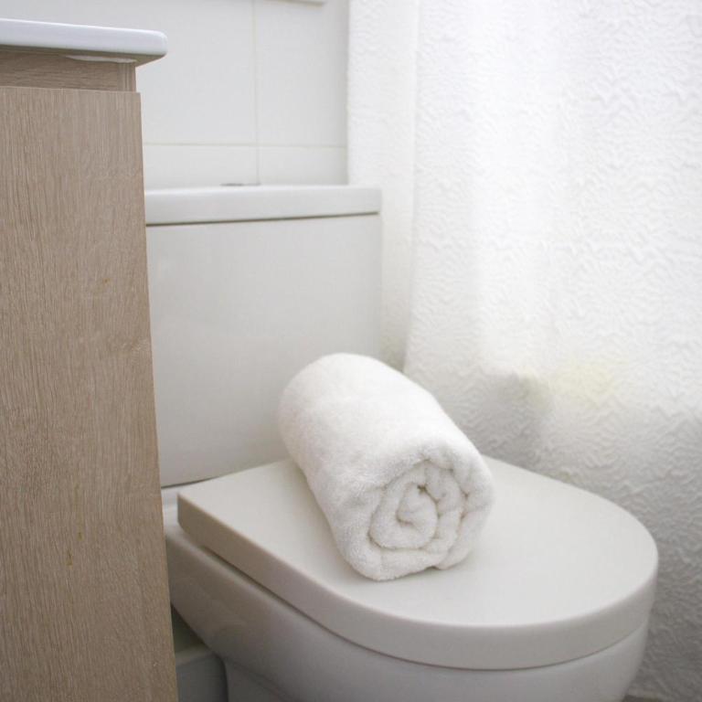HOM I Dpto Hermoso 1D1B Santa Isabel - Apartamento - 30