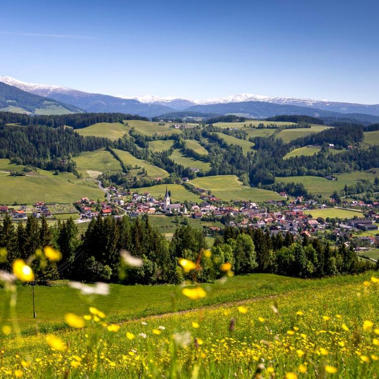 Naturpark Chalets Lambrecht by ALPS RESORTS - Chalet with Sauna 11 - 17