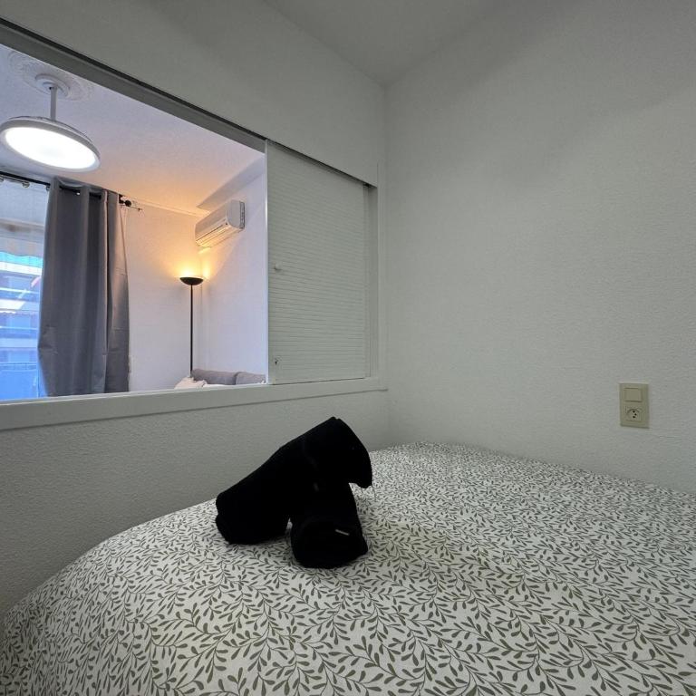 Estudio renovado en primera linea de mar - Apartamento de 1 dormitorio - 19