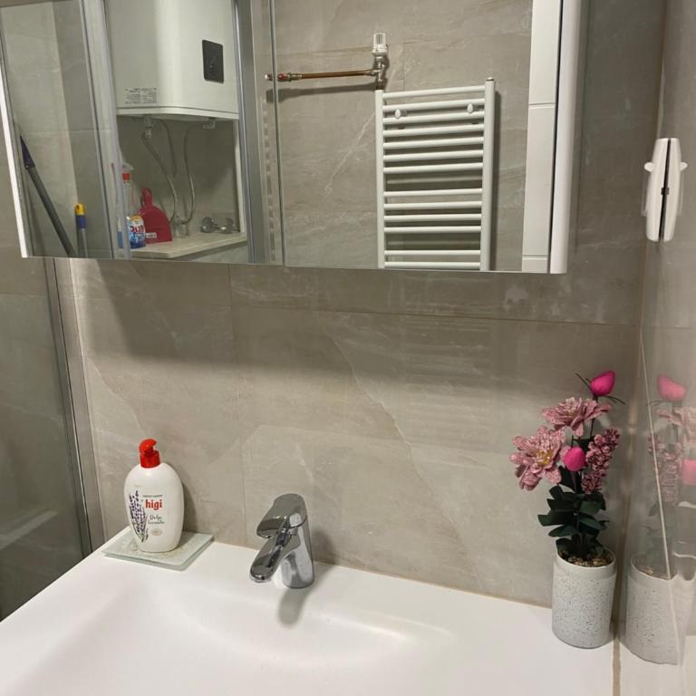 apartman riki - Apartman sa 2 Spavaće Sobe - 36