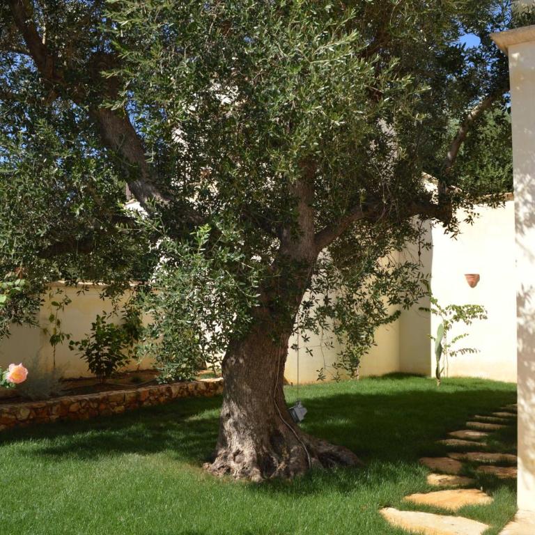Masseria Le Celline - Camera Matrimoniale con Patio all'Aperto - 2