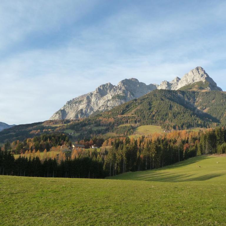 Appartement Ginschel - Studio mit Balkon - 30