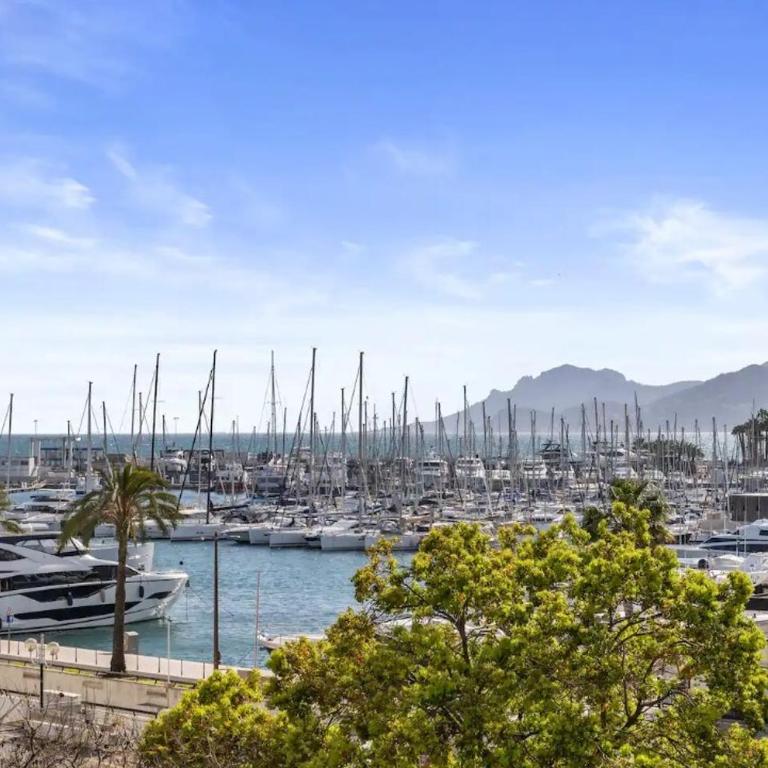 LES SUITES DU PALAIS sur LA CROISETTE - Vue MER - Appartement 2 Chambres avec Terrasse et Vue sur la Mer - 4