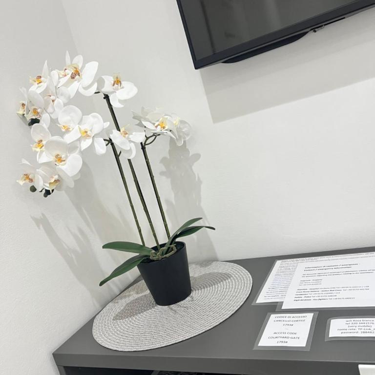 Rosa Bianca apartment - Free Parking in the historic center of Alba - Langhe - Appartamento Suite - 19