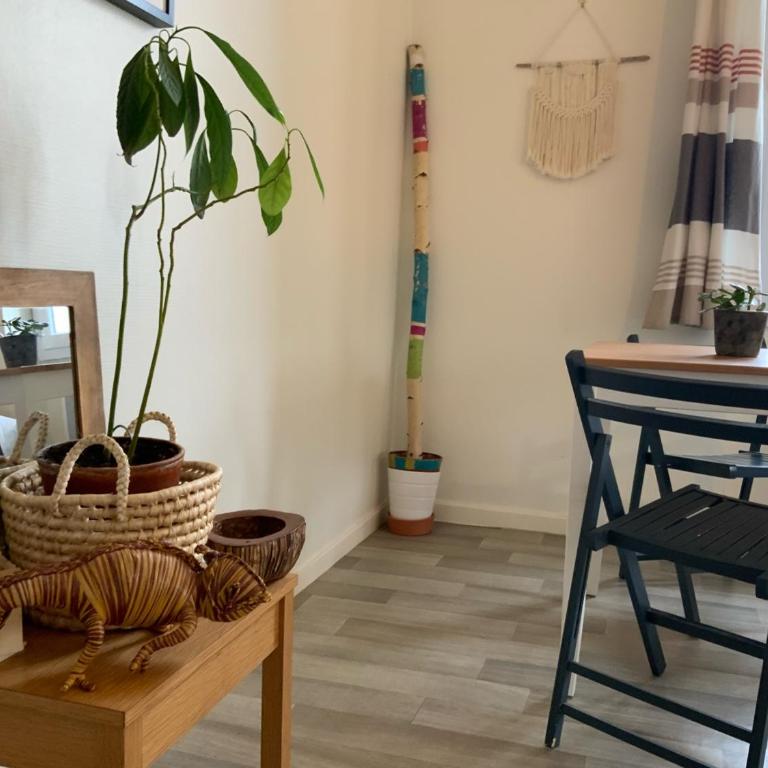 Studio lumineux & calme à Biarritz - Parking privé gratuit - Apartamento de 1 dormitorio - 16