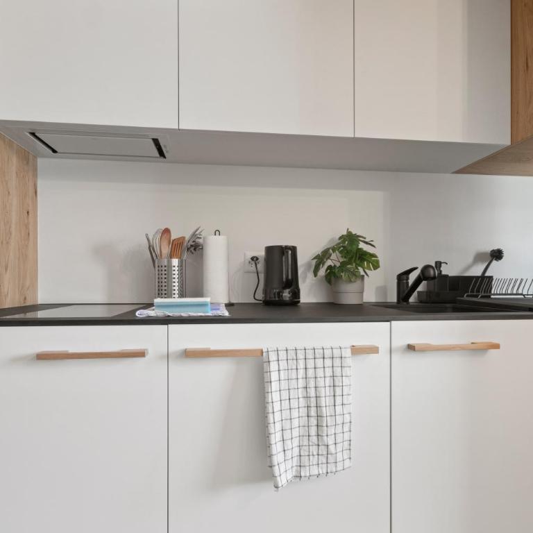 Élégant studio, proche des bains & nature - Apartment mit 1 Schlafzimmer - 10